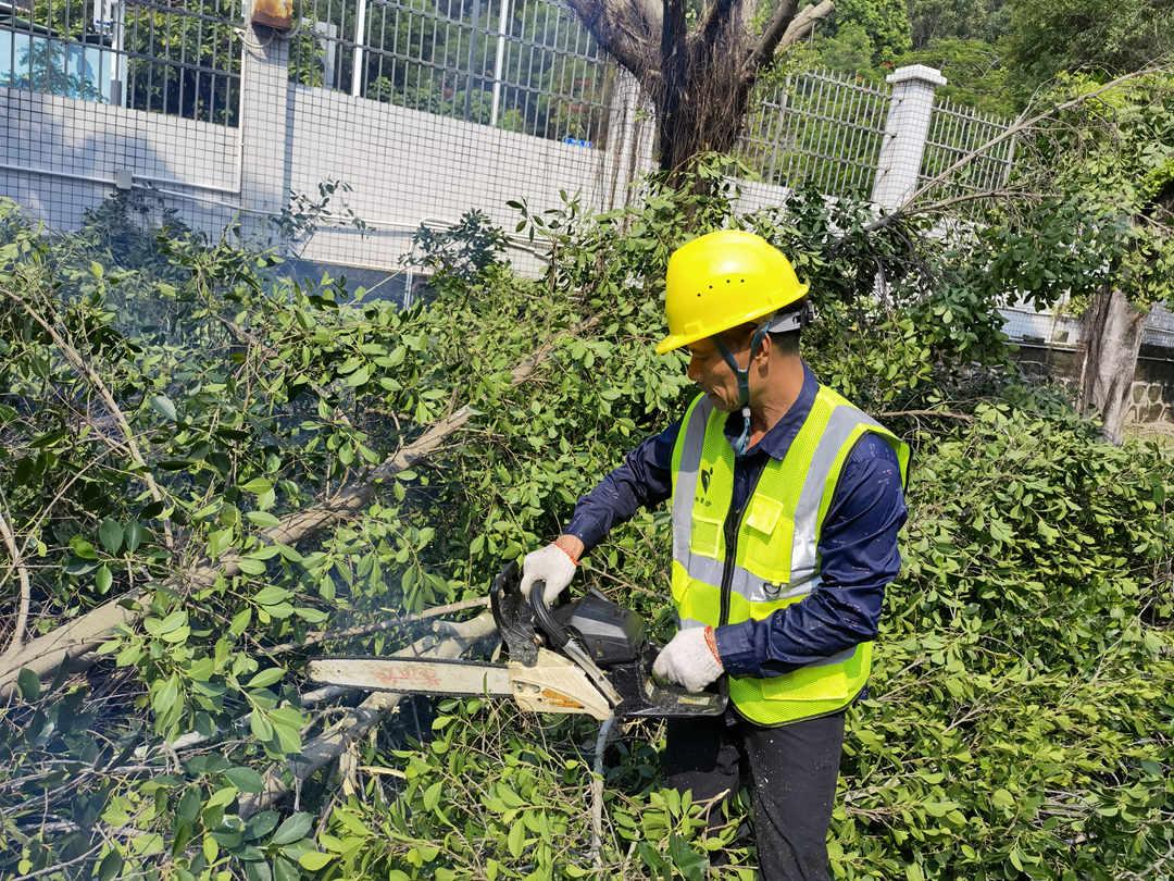 欢迎访问十大电子网址工人的日常养护修剪工作